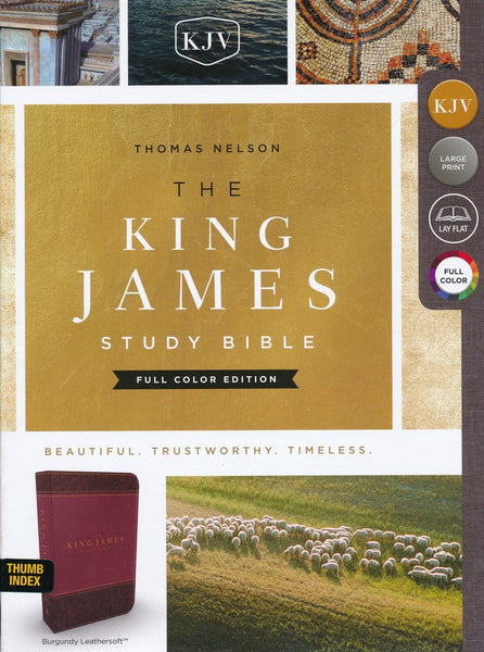 KJV Study Bible (Full-Color)-Burgundy/Dark Burgundy Leathersoft Indexed