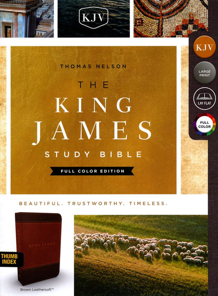 KJV Study Bible (Full-Color)-Brown/Dark Brown Leathersoft Indexed