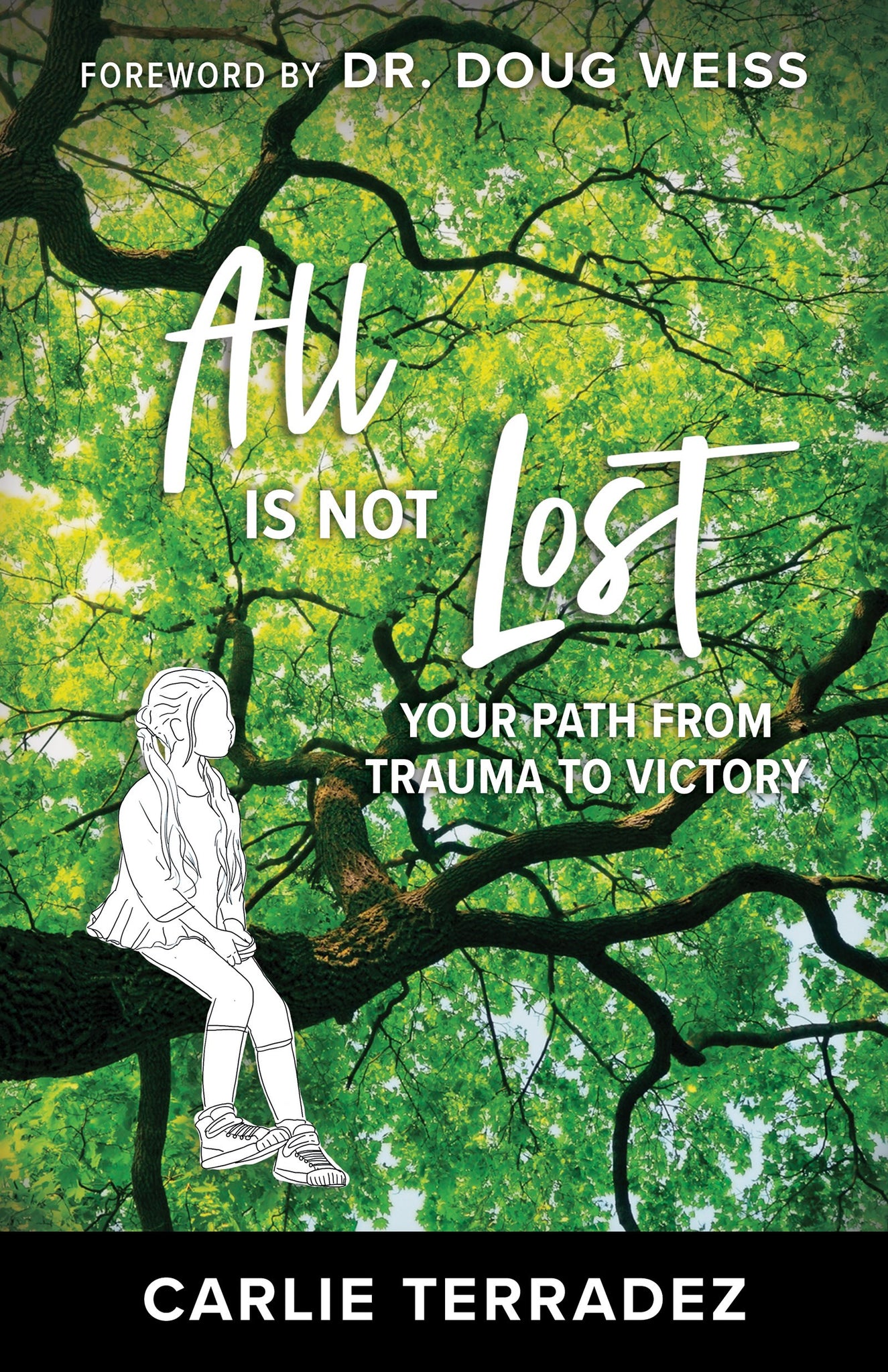 All is Not Lost: Your Path from Trauma to Victory