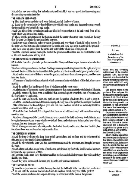 KJV The 1-Minute Study Bible-Pewter Blue DiCarta