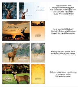 Card-Boxed-Shared Blessings-Birthday Wildlife (Box Of 12)