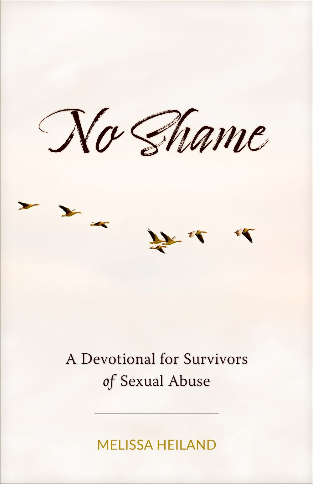 No Shame: A Devotional for Survivors of S3xual Abuse