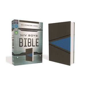 NIV, Boys Bible, Leathersoft, Gray,Blue, Comfort Print by Zondervan