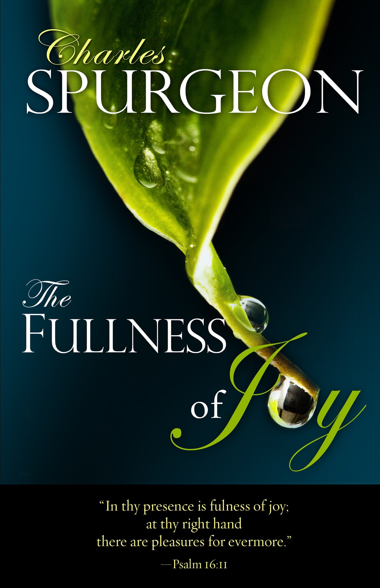 Spurgeon C H's Fullness Of Joy - Career & Self-Help Book