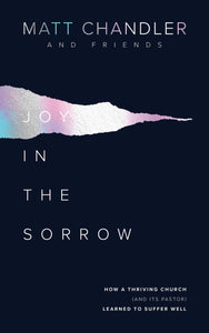 Joy In The Sorrow-Softcover