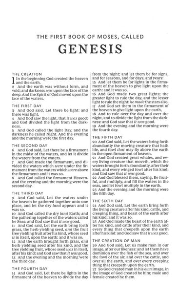 KJV Value Thinline Bible/Large Print (Comfort Print)-Pink Leathersoft