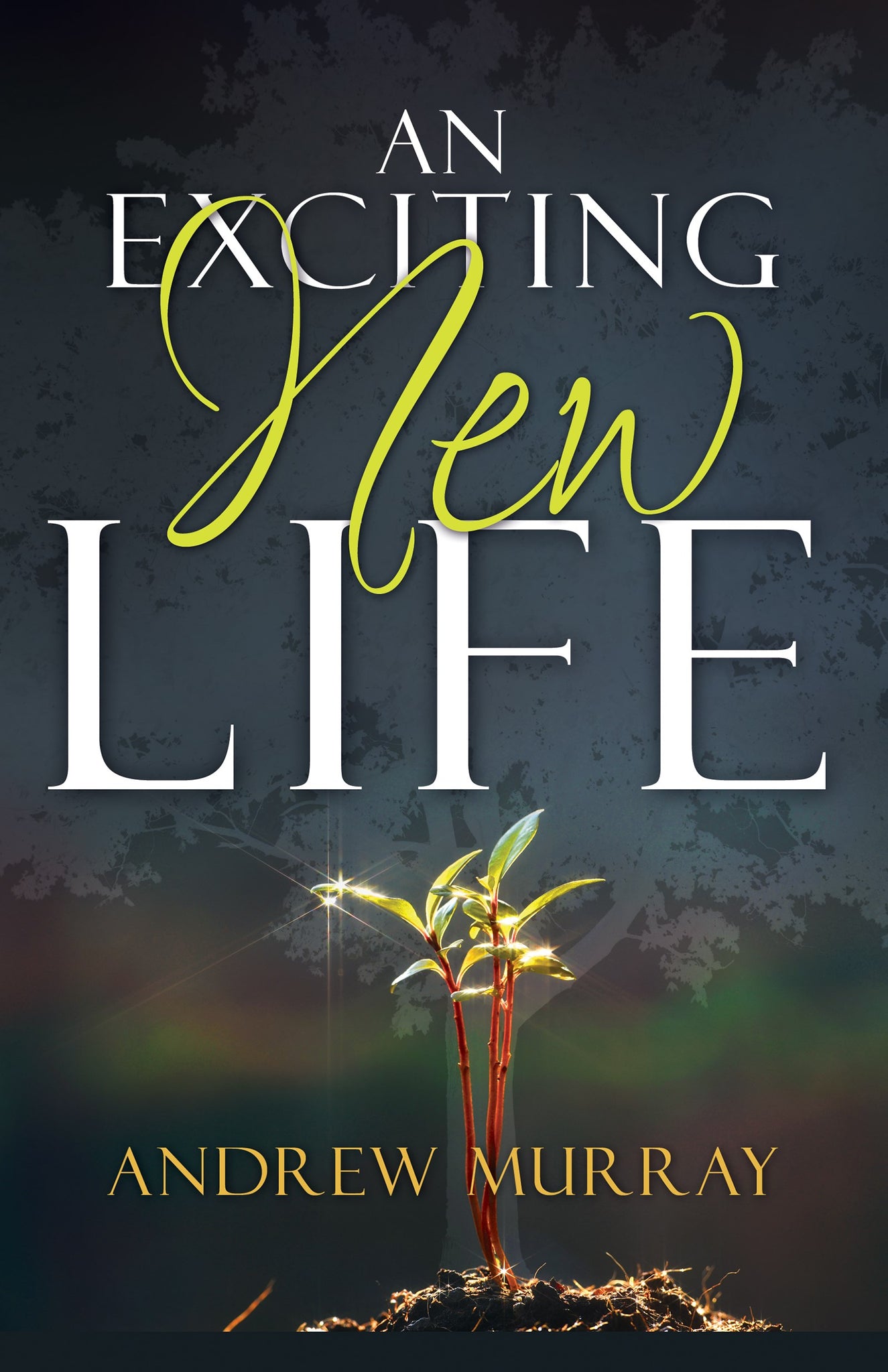 An Exciting New Life by Andrew Murray