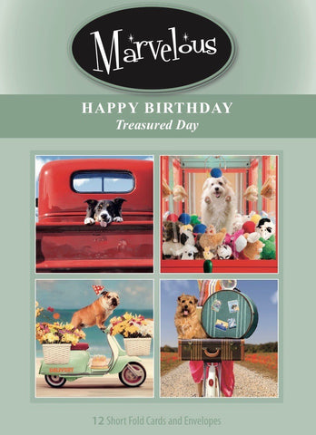 CARD-MARVELOUS TREASURED DAY BIRTHDAY #187 (BOX OF 12)