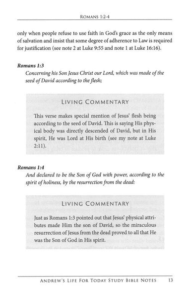 Romans: Paul's Masterpiece on Grace: Bible Commentary