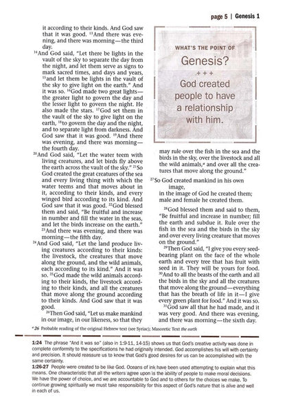 NLT Every Man's Bible/Large Print-Brown/Tan TuTone