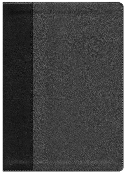 NIV Every Man's Bible/Large Print-Black/Onyx TuTone