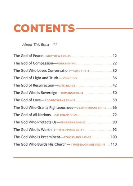 The God Shot: 100 Snapshots of Gods Character in Scripture (A Daily Bible Devotional and Study on the Attributes of God from Every Book in the New Testament)