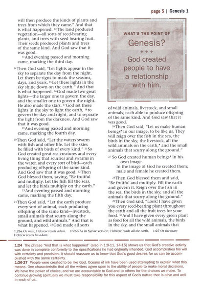 NLT Every Man's Bible/Large Print-Brown/Tan TuTone Indexed