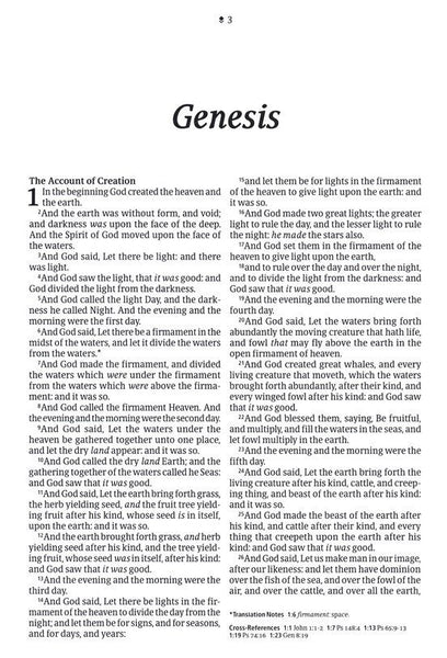 KJV Large Print Thinline Reference Bible/Filament Enabled Edition-Black/Onyx LeatherLike