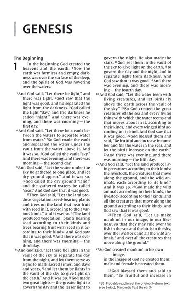 NIV Thinline Bible (Comfort Print)-Teal Leathersoft Indexed