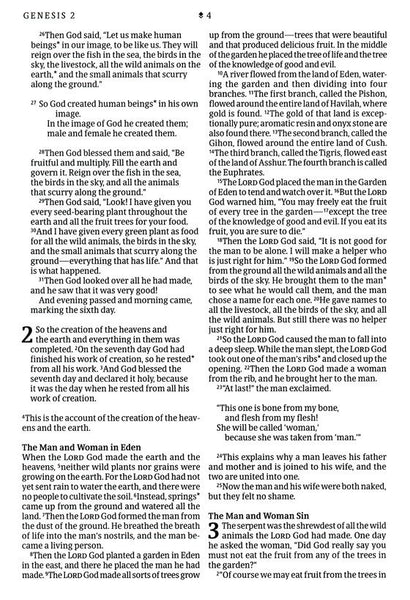 NLT Large Print Thinline Reference Bible Filament Enabled Edition-Evergreen Mountain LeatherLike