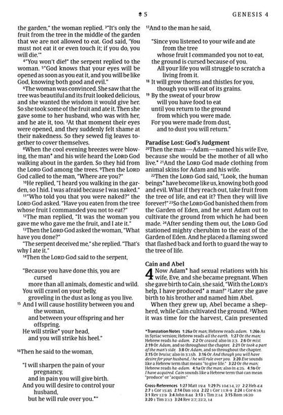 NLT Large Print Thinline Reference Bible Filament Enabled Edition-Evergreen Mountain LeatherLike