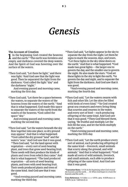 NLT Large Print Thinline Reference Bible Filament Enabled Edition-Evergreen Mountain LeatherLike Indexed