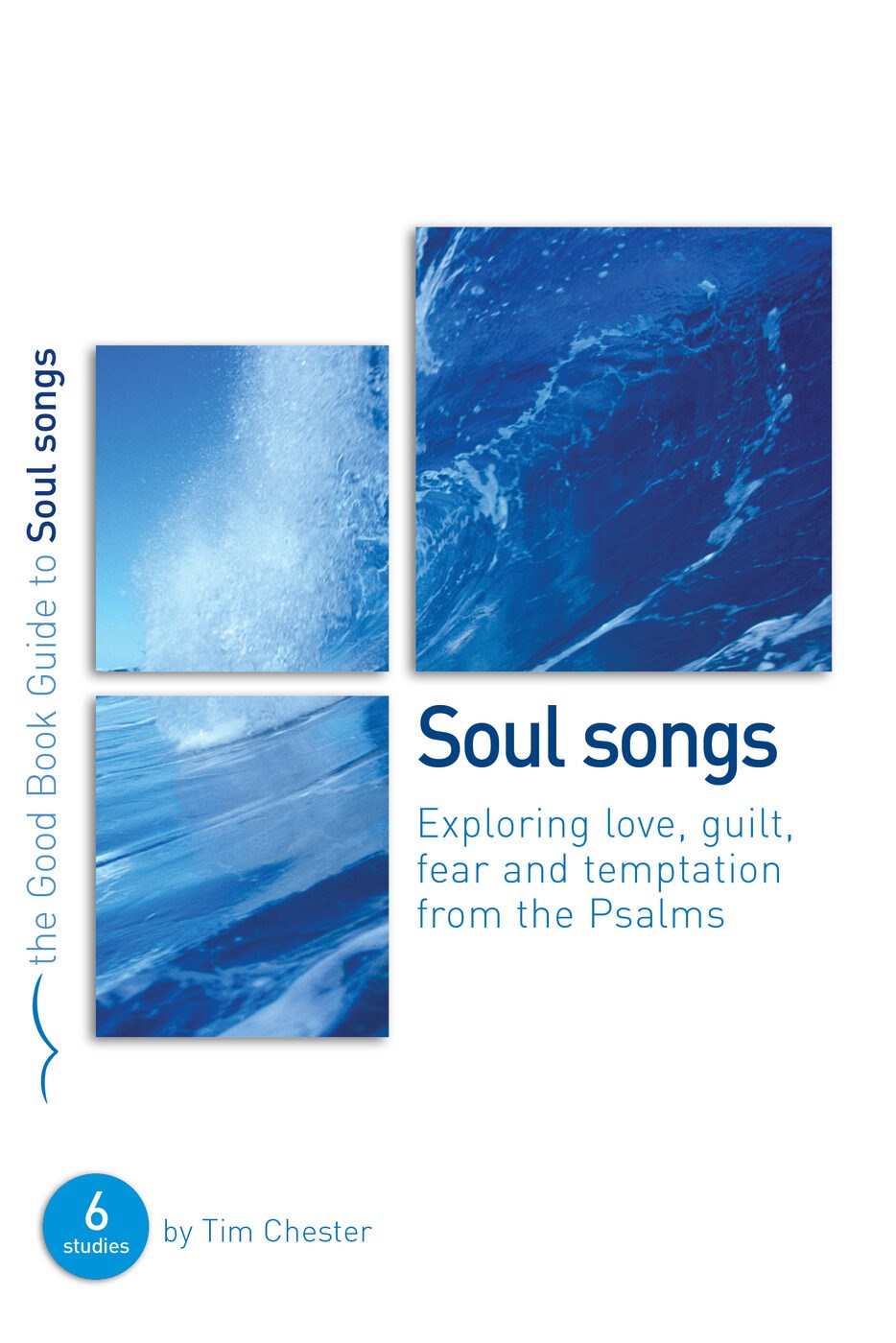 Psalms: Soul Songs (The Good Book Guide)