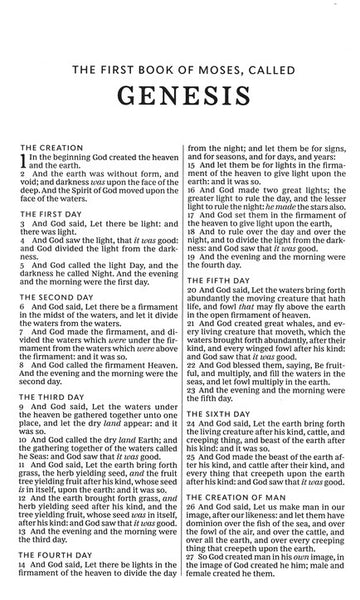 KJV Thinline Bible (Comfort Print)-Chestnut Leathersoft