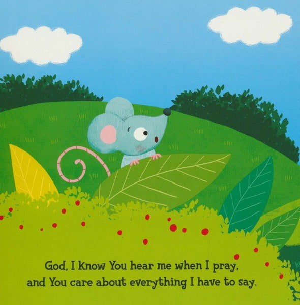 Peek-a-Boo Prayers: A Rhyming Lift-a-Flap Book for Kids