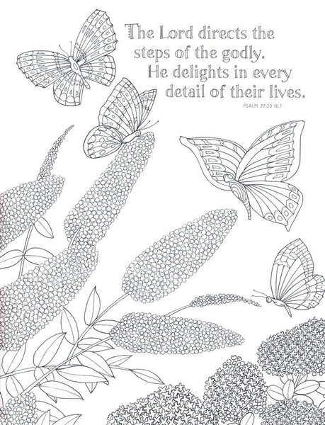 Amazing Grace Coloring Book: Inspiring Scriptures and Illustrations for Relaxation and Reflection (Majestic Expressions)