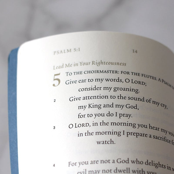 ESV Illuminated Scripture Journal: Psalms-Blue Softcover