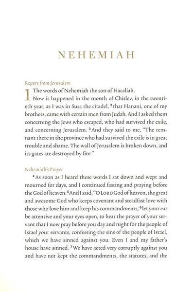 ESV Illuminated Scripture Journal: Nehemiah-Blue Softcover