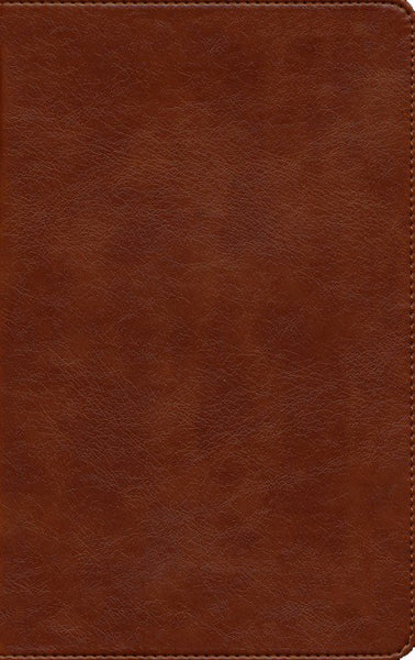 NLT Personal Size Giant Print Bible/Filament Enabled-Rustic Brown LeatherLike