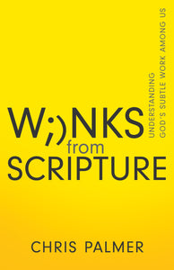 Winks from Scripture: Understanding Gods Subtle Work Among Us