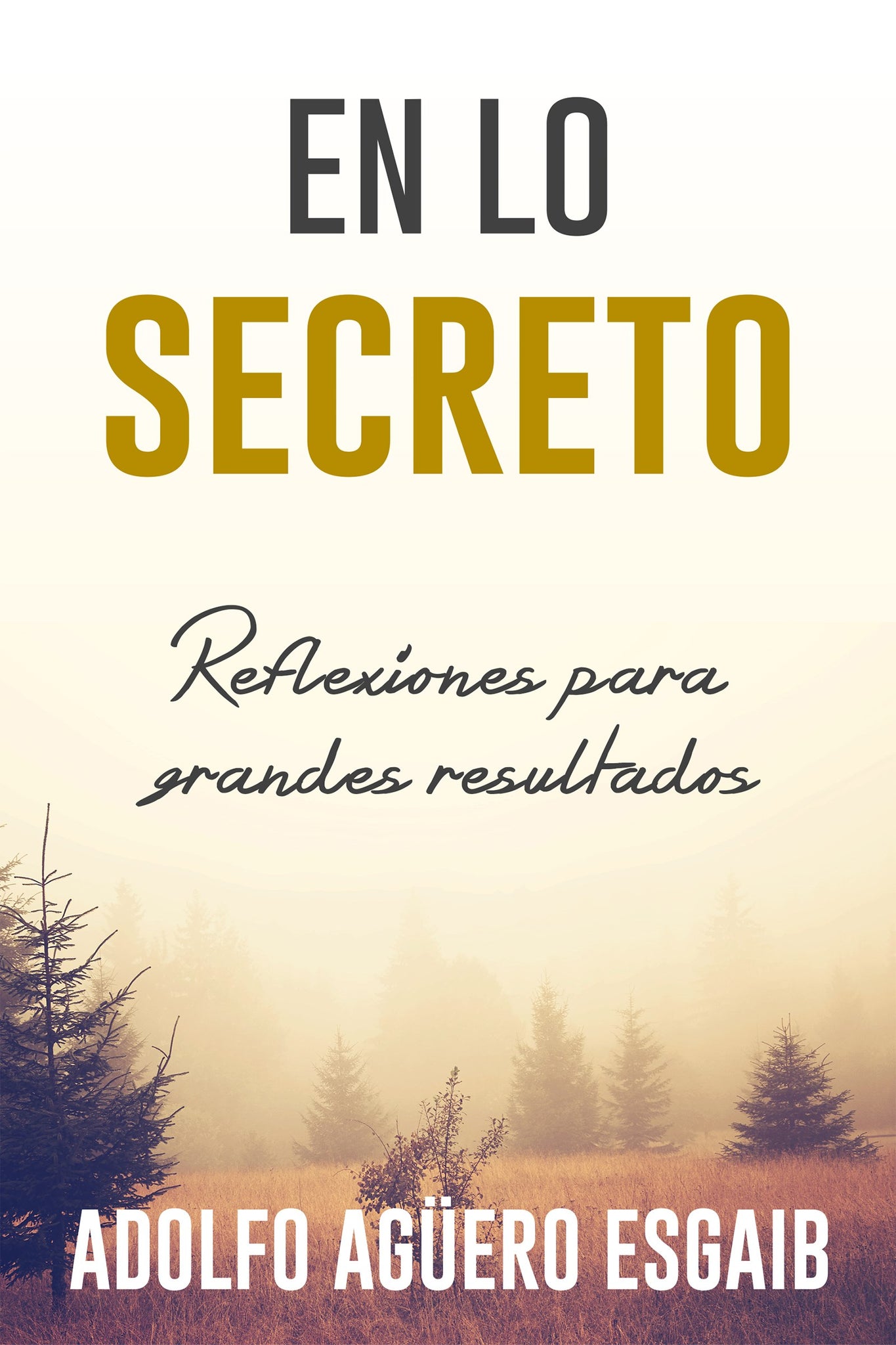 (Spanish Version) In The Secret Place: 52 Thoughts for Great Results