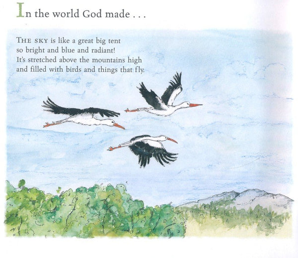 The World God Made by Hannah Anderson - Children's Picture Book