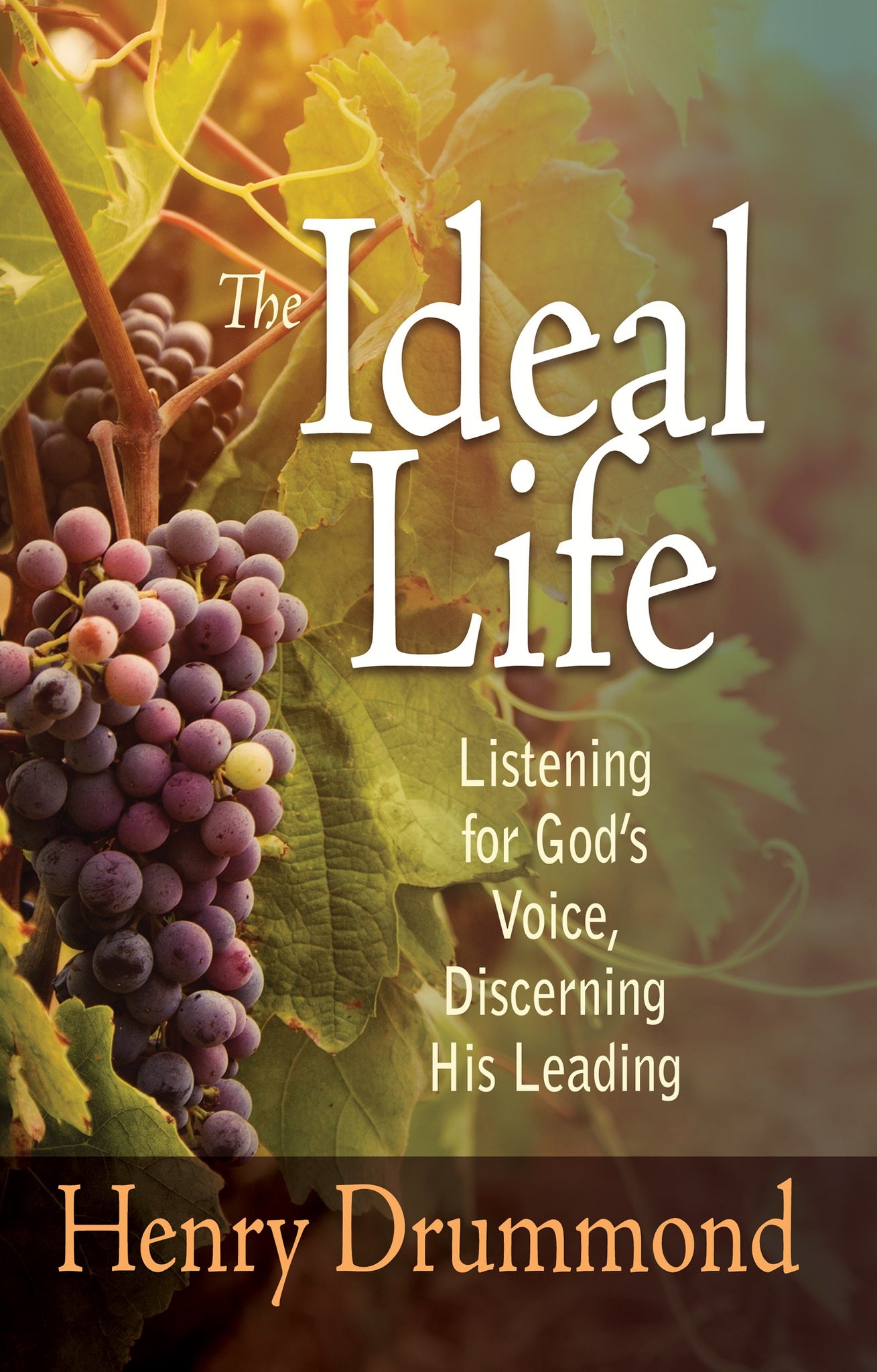 Ideal Life: Listening For Gods Voice Discerning His Leading