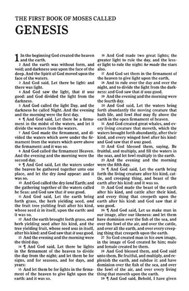 KJV Thinline Bible, Brown LeatherTouch, Value Edition, Red Letter, Pure Cambridge Text, Presentation Page, Full-Color Maps, Easy-to-Read Bible MCM Type