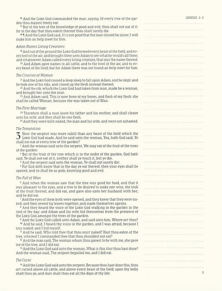 KJV Notetaking Bible/Large Print Edition-Camel LeatherTouch