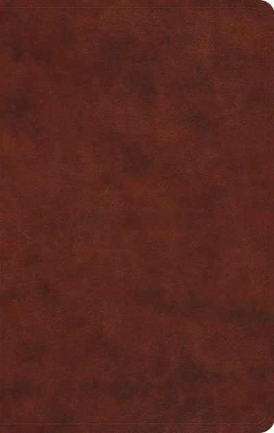 ESV Large Print Value Thinline Bible-Chestnut TruTone