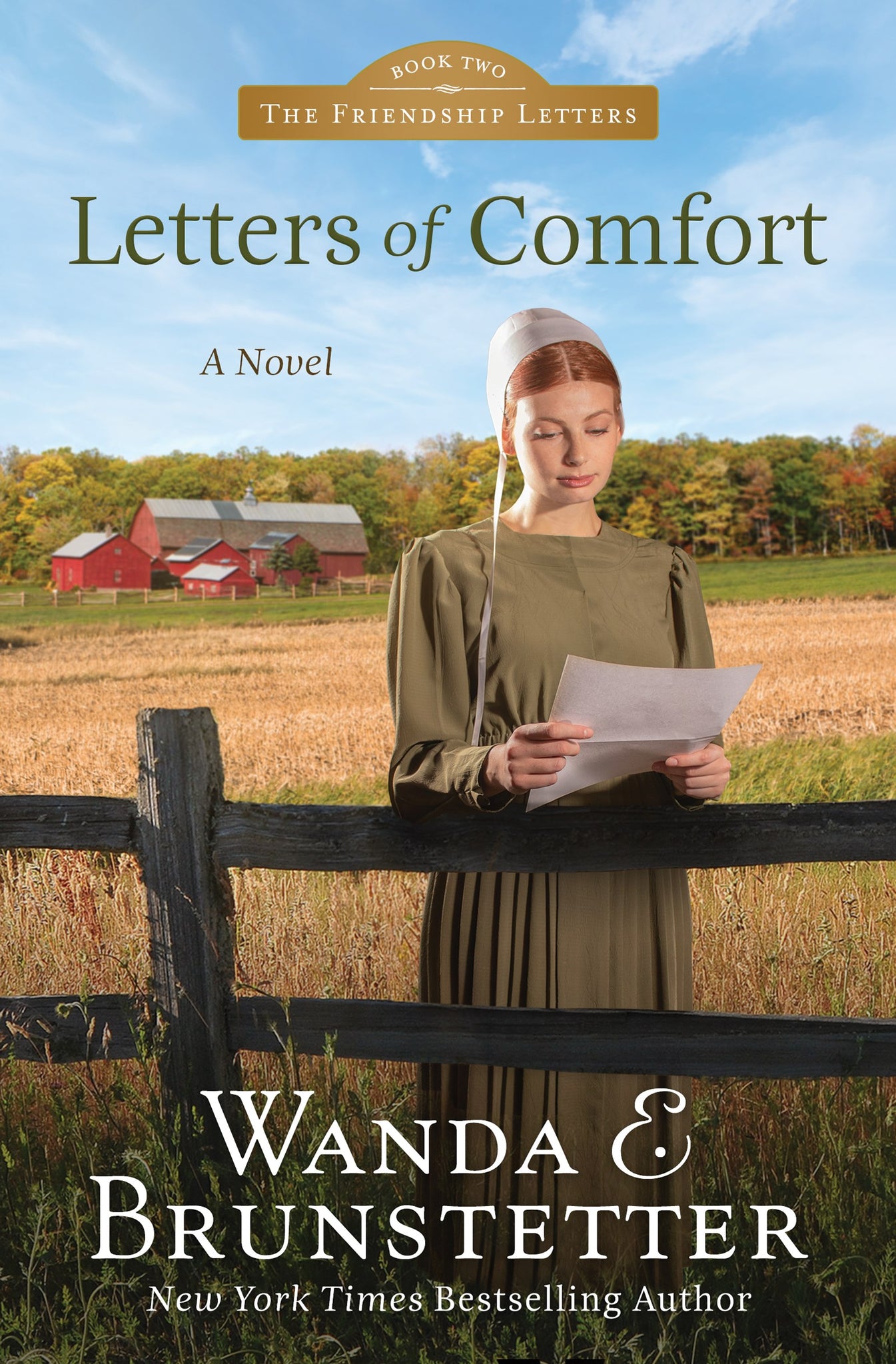 Letters Of Comfort (Friendship Letters #2)