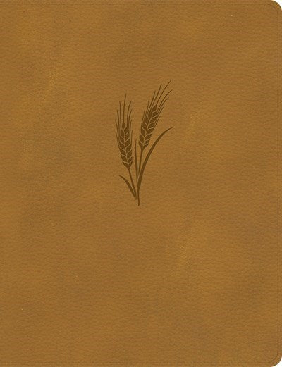 KJV Notetaking Bible/Large Print Edition-Camel LeatherTouch