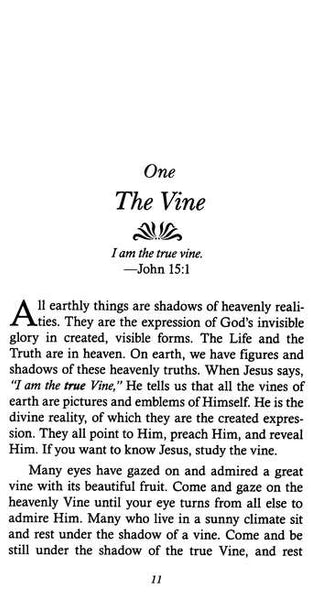 The True Vine: Transformative Teachings for Spiritual Growth by Andrew Murray | 31-Day Devotional for Deeper Relationship with Christ