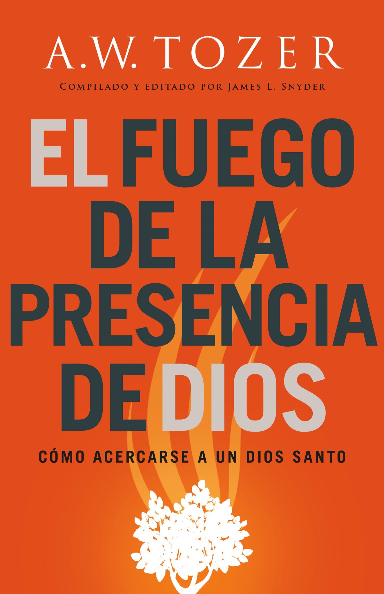 (Spanish Edition) Fire Of Gods Presence: How to Approach a Holy God