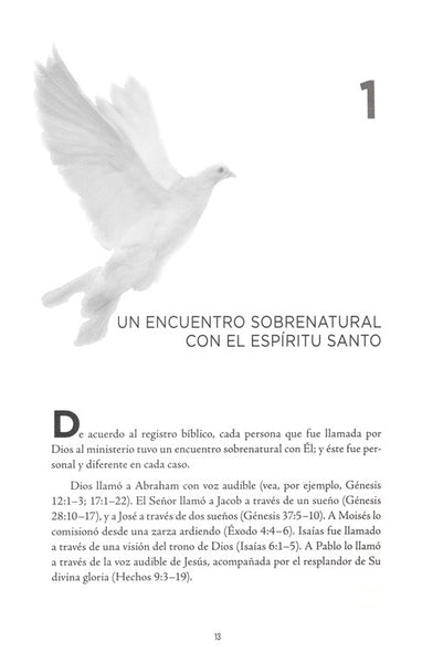 (Spanish Edition) Divine Encounter with the Holy Spirit by Guillermo Maldonado