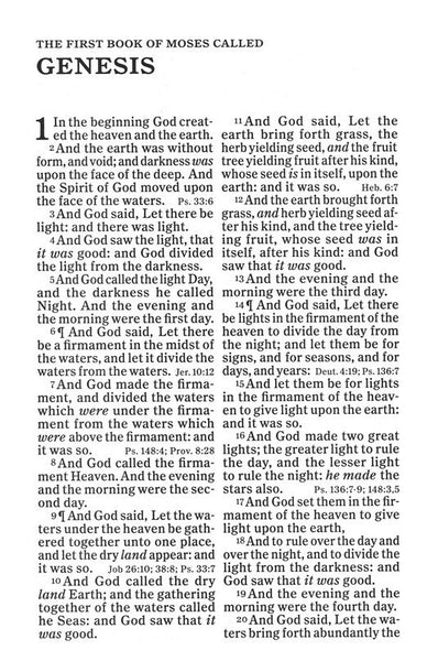 KJV Giant Print Reference Bible, Charcoal LeatherTouch, Red Letter, Pure Cambridge Text, Presentation Page, Cross-References, Full-Color Maps, Easy-to-Read Bible MCM Type