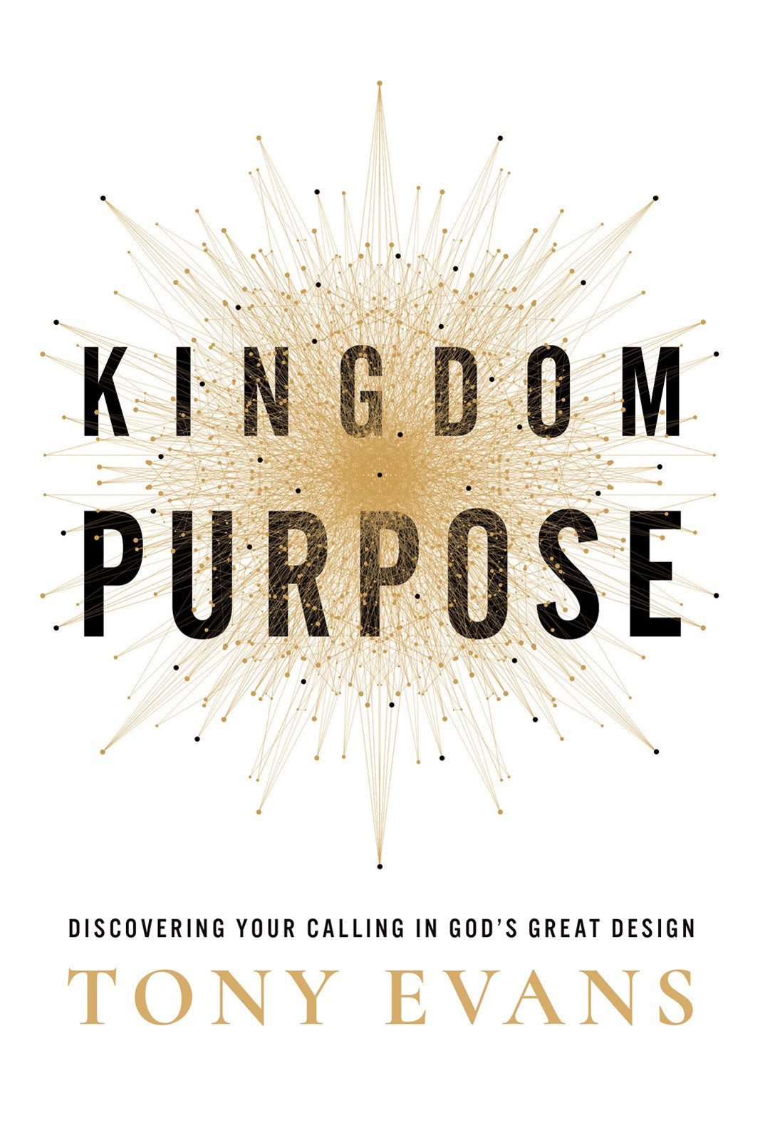 Kingdom Purpose: Discovering Your Calling in God's Great Design