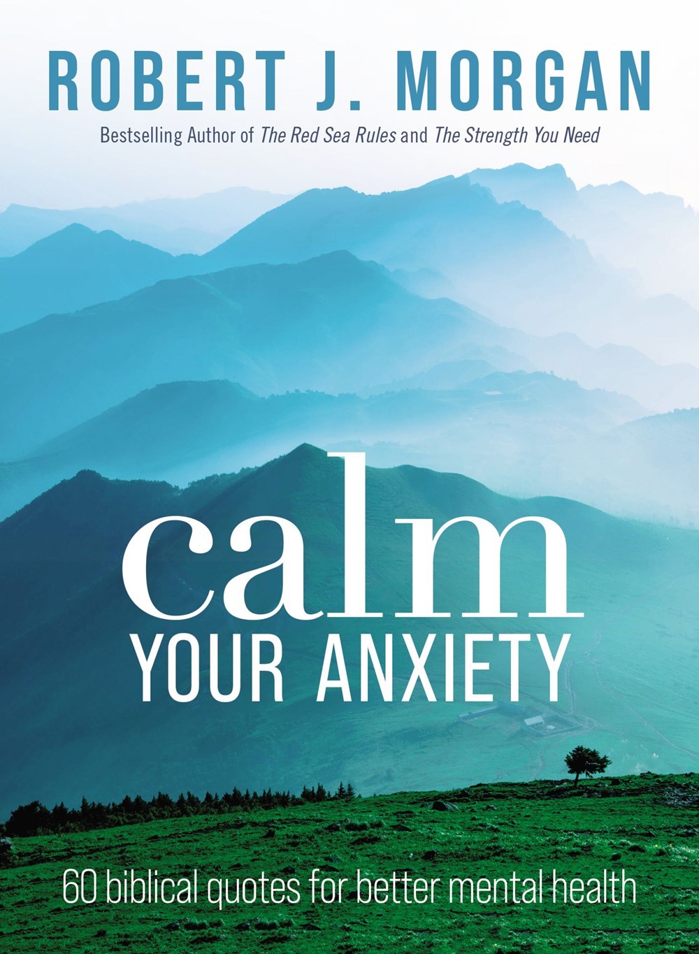 Calm Your Anxiety by Morgan Robert J