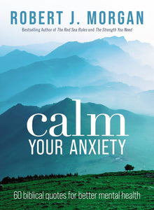 Calm Your Anxiety by Morgan Robert J