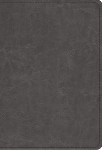 ESV Student Study Bible (Gray TruTone): Comprehensive Guide with 12,000 Study Notes, 80+ Maps & Illustrations, Black Letter Text, Lifetime Guarantee