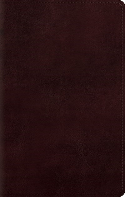 ESV Large Print Personal Size Bible-Mahogany TruTone