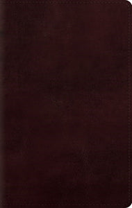 ESV Large Print Personal Size Bible-Mahogany TruTone