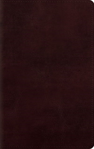 ESV Large Print Personal Size Bible-Mahogany TruTone