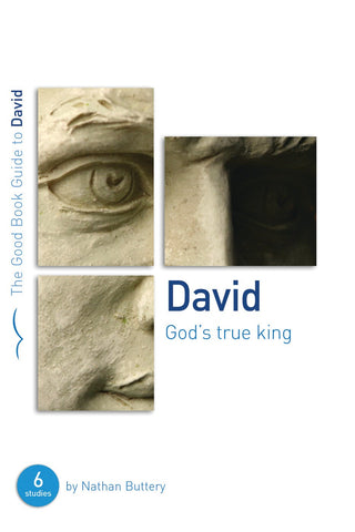 David (The Good Book Guide)